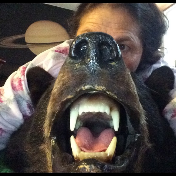 Meet your Posher, Virginia - Picture 1 of 1